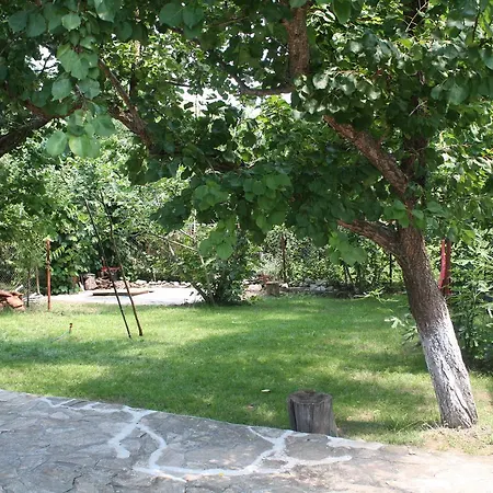 Didi Villa Tsarévo